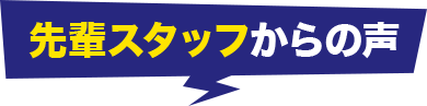 先輩スタッフからの声